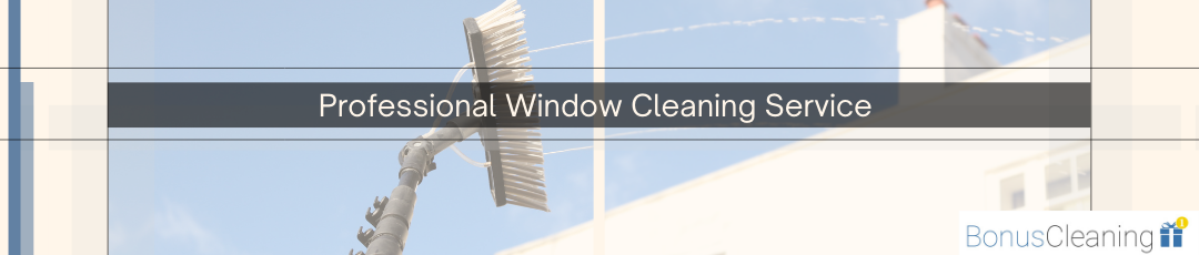 window cleaning service 